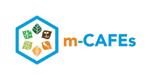 m-CAFEs logo